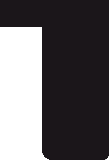 Baguette precoupe bois profil plat largeur 2cm hauteur 3.3cm couleur noir mat finition pore bouché (aussi appelé cache clou)