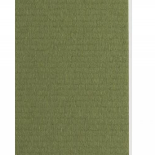 Plaque passe-partout vert tilleul, âme blanche, épaisseur 1,4mm dimension 80x120cm - Pack de 25 feuilles