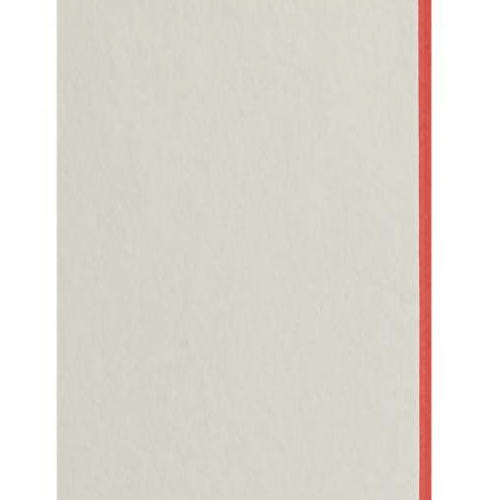 Plaque passe-partout blanc naturel, âme de couleur pigmentée (rouge tonique), épaisseur 1,7mm dimension 80x102cm - Pack de 20 feuilles
